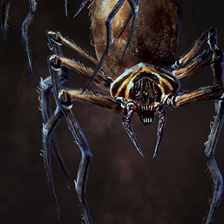 Dark Tomb - Arachnids Portrait